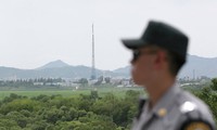 Сеул и Пхеньян обсуждают подготовку встреч разделенных войной семей