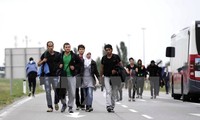 ФРГ, Австрия, Швеция призвали Европу к солидарности в решении миграционного кризиса