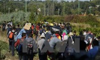 ЕП призвал страны ЕС к применению дополнительных мер по управлению миграционным кризисом