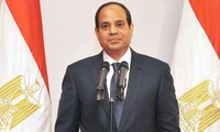 Посол СРВ До Хоанг Лонг вручил президенту Египта верительные грамоты