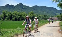 В 2015 году Вьетнам посетили около 8 млн иностранных туристов 