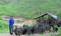 Вьетнам считает ликвидацию голода и бедности важнейшей глобальной целью