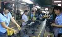 Необходимо развивать вспомогательную промышленность кожевенной отрасли Вьетнама