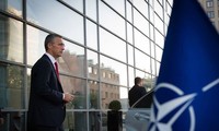 НАТО увеличивает присутствие в Восточной Европе