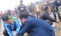 ЦК СКМ развернул праздник посадки деревьев в провинции Хатинь 