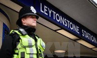 В Великобритании арестованы пять подозреваемых в подготовке терактов
