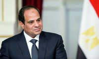 Египет вновь подтвердил позицию о поддержке разрешения ливийского кризиса политическим путем 