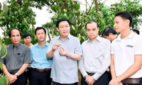 Вице-премьер Выонг Динь Хюэ совершил рабочую поездку в провинции Зялай