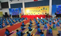 В Дананге и Хошимине во 2-й раз отмечается Международный день йоги             