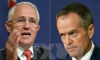 Две крупные партии в Австралии пытаются сформировать правительство