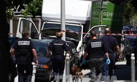 Связь водителя грузовика в Ницце с террористами не установлена