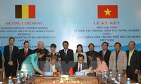 Экономическая делегация региона Фландерс-Брюссел изучает возможность инвестирования во Вьетнам