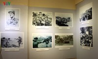 Открылась выставка «Героический эпос зимы 1946 года»