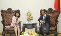 Стратегическое партнерство между Вьетнамом и Японией продолжает развиваться