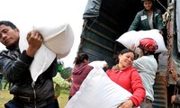 Предоставлены две тыс. тонн риса жителям в затоленных районах в Биньдинь