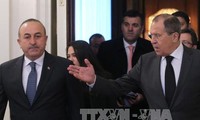 Россия и Турция договорились содействовать установлению перемирия в Сирии