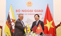 В Ханое прошло первое заседание Совместной вьетнамо-брунейской комиссии по сотрудничеству