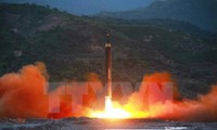 Совбез ООН решительно осудил запуск ракеты КНДР