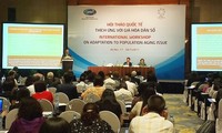 В Ханое проходит международный семинар по адаптации к старению населения