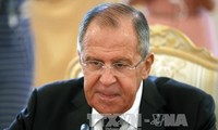Россия и Египет договорились возобновить авиасообщение