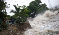 Из-за урагана “Ирма” на Виргинских островах погибли четыре человека