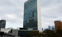 О начале работы 36-й сессии Совета ООН по правам человека