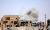 SANA: сирийские войска очистили от террористов город Эль-Карьятейн