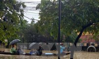 Россия, Япония оказывают помощь Вьетнаму в ликвидации последствий тайфуна Дамри