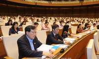 Депутаты Нацсобрания Вьетнама проголосовали за Закон о лесном хозяйстве