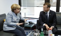 Франция, ФРГ призвали выполнить мирное соглашение на востоке Украины
