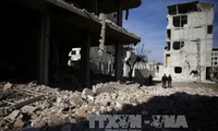 Швеция и Кувейт внесли в СБ ООН проект резолюции о 30-дневном прекращении огня в Сирии