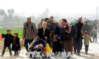 Совбез ООН привал к немедленному прекращению огня в Сирии