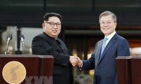 Республика Корея и Россия поддерживают трехстороннее сотрудничество с КНДР