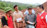 Красный крест Вьетнама расширяет сотрудничество в реализации благотворительных мероприятий