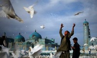 Россия отложила мирные переговоры по Афганистану
