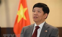 Токио высоко оценила роль Вьетнама в активизации сотрудничества Меконг-Япония