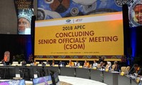Конференция по подведению итогов встречи высокопоставленных чиновников в рамках форума АТЭС 2018