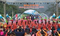 Фестиваль камелии сасанквы - интересное туристическое мероприятие в Куангнине