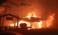 В Республике Корея объявили чрезвычайное положение из-за лесных пожаров в провинции Канвондо