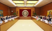 Вице-спикер парламента Вьетнама Тонг Тхи Фонг провела переговоры с лаосским коллегой