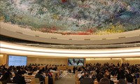 Генеральная Ассамблея избрала 14 новых членов Совета ООН по правам человека