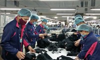 Вьетнамский форум труда 2019 года: «Будущее трудоустройства – выбор Вьетнама»
