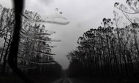 Подарок небес: в Австралии пошел долгожданный дождь