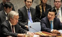 Фам Бинь Минь принял руководителей и министров иностранных дел стран-участниц  Совбеза ООН