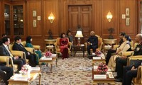 Вице-президент Вьетнама встретилась с президентом Индии