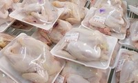 Вьетнам экспортирует переработанную продукцию из курицы в Россию
