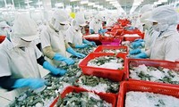 Во Вьетнаме началось восстановление рыбного хозяйства после эпидемии Covid-19