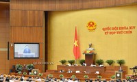Депутаты одобрили обнародование Резолюции о специальных финансово-бюджетных механизмах и политике в отношении Ханоя