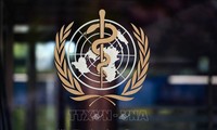  США уведомили ООН о выходе из ВОЗ с 6 июля 2021 года