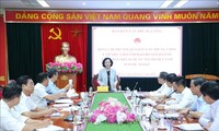 Необходимо активизировать работу с народными массами среди вьетнамцев за границей